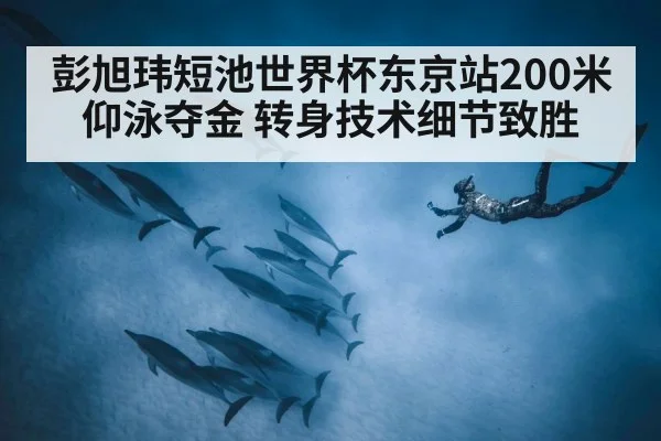 彭旭玮短池世界杯东京站200米仰泳夺金 转身技术细节致胜